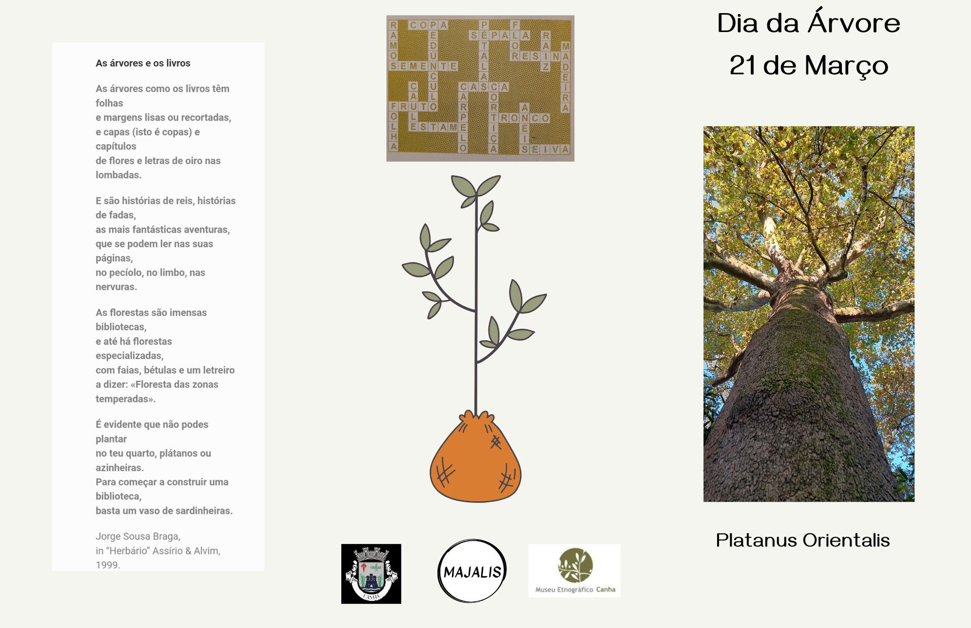Folheto informativo sobre a importância das árvores