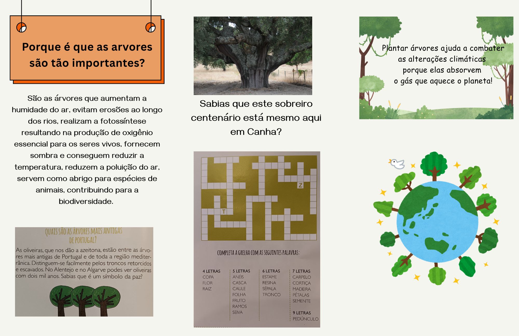 Folheto informativo sobre a importância das árvores